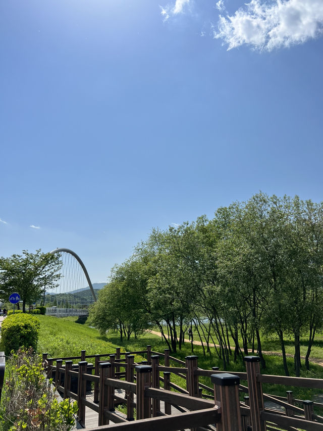 Water garden ที่นัมยางจู
