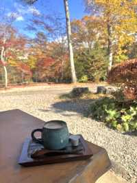 📍 【栃木】　平家の里の紅葉