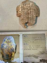Discovering the Beauty of Chinese Characters at Anyang Museum