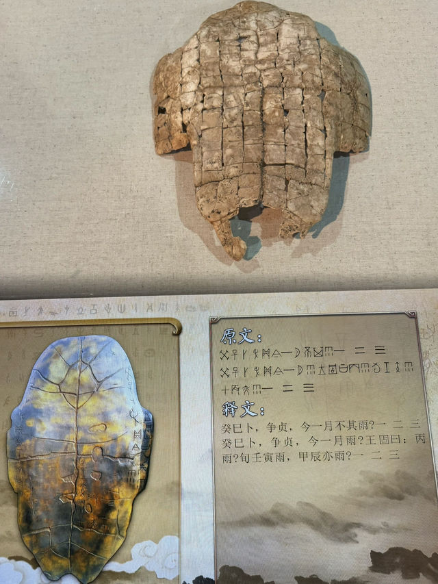 Discovering the Beauty of Chinese Characters at Anyang Museum
