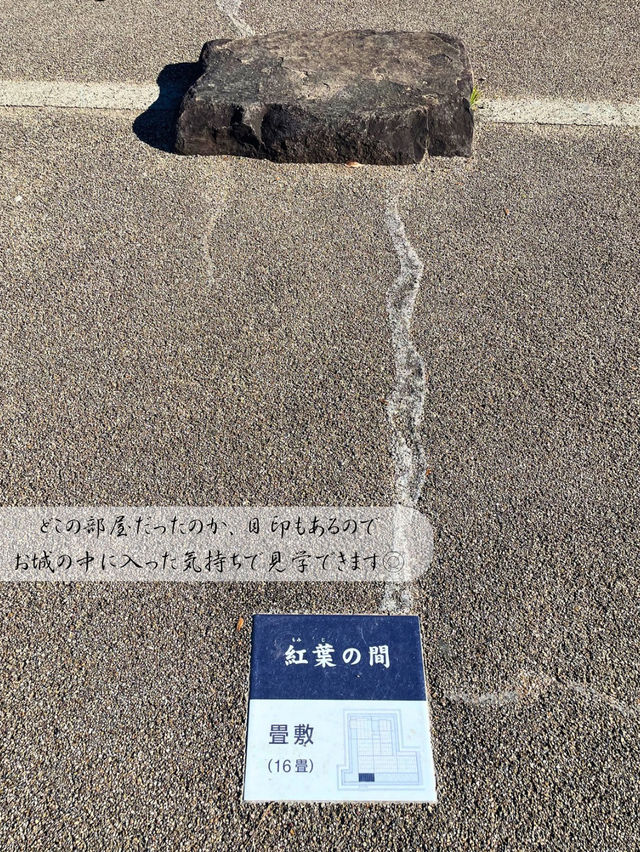 仙台観光の定番！仙台が一望できる仙台城跡🏯
