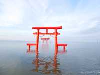 【佐賀県】沖ノ島へつながるパワースポット！「海中鳥居」