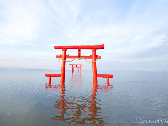 【佐賀県】沖ノ島へつながるパワースポット！「海中鳥居」