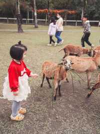 花蓮鳳林｜墾夢莊園兆豐農場 超大農場玩不完！