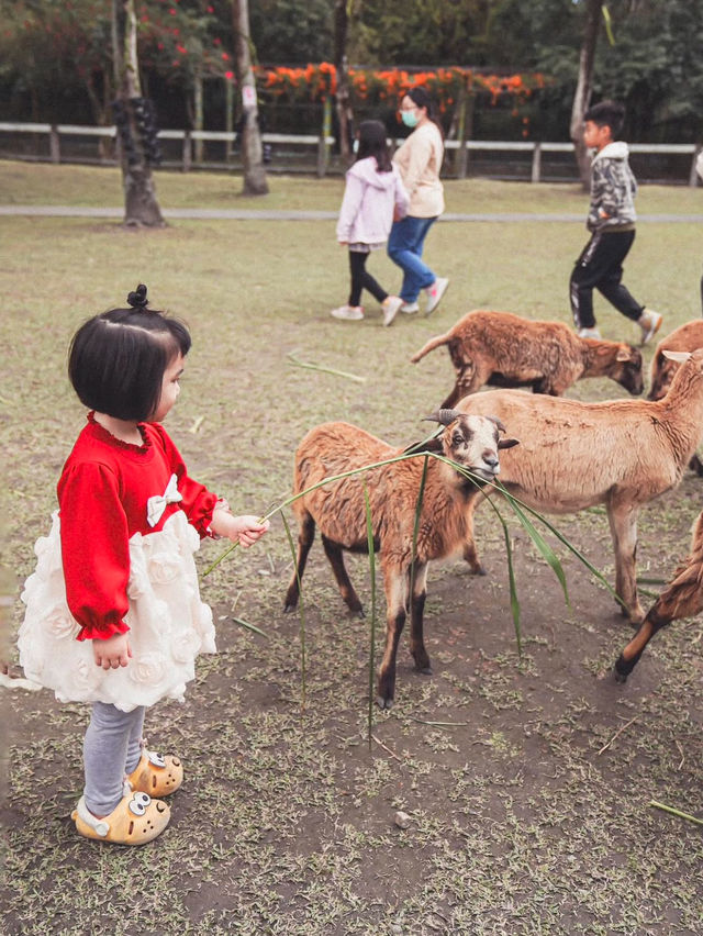 花蓮鳳林｜墾夢莊園兆豐農場 超大農場玩不完！