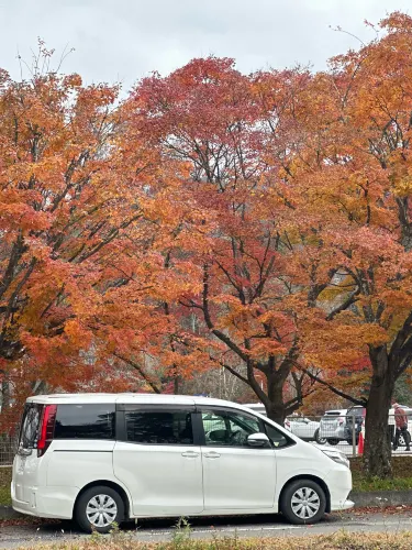 🍁 紅葉が織りなす秋の楽園:軽井沢の紅葉 🍂