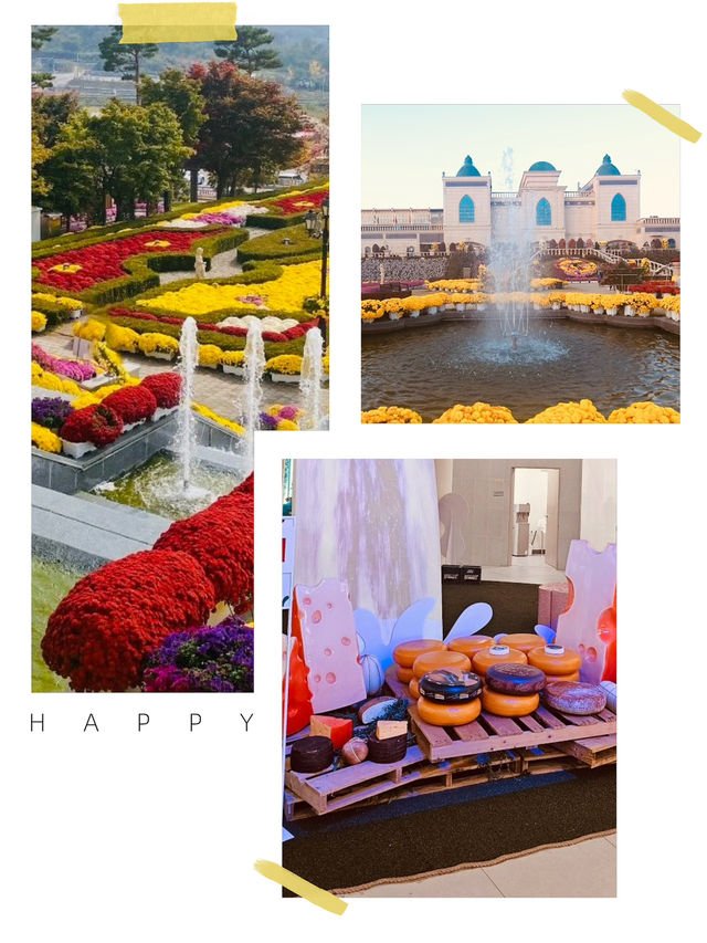 Winter Magic Awaits at Imsil Cheese Theme Park