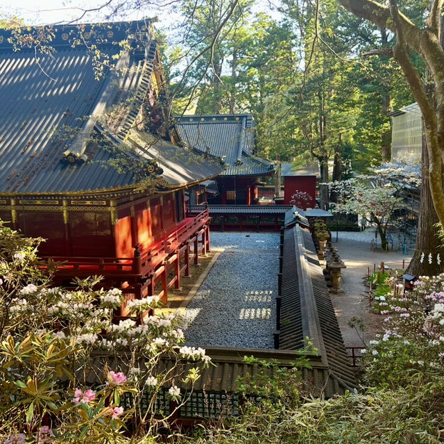 不一樣的日本獨遊之旅 由東京玩至山形縣