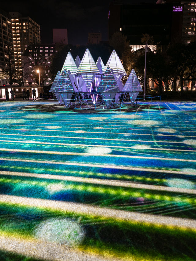 【家族連れにおすすめ！✨】ヨルノヨ2024のイルミネーションが美しすぎる！🐳