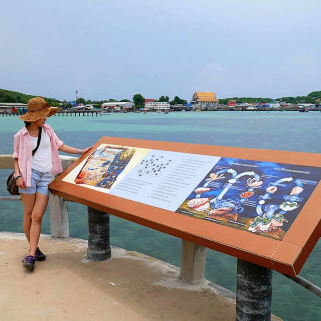 ⛱️ เกาะแสมสาร