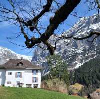 Grindelwald Switzerland
