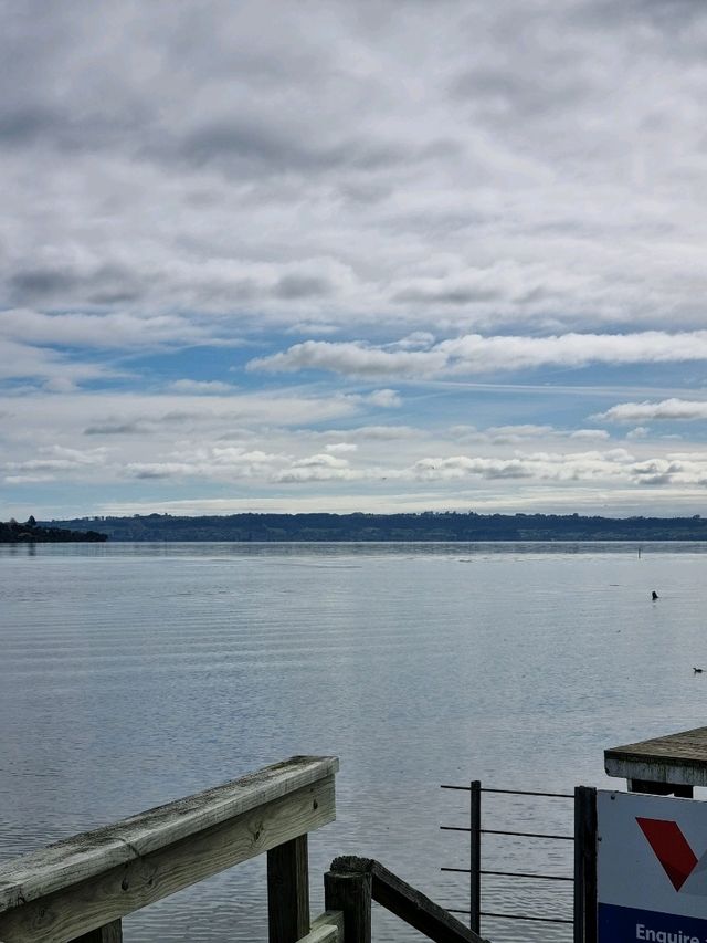 고요한 마을에서 마주한 로토루아 호수(Rotorua Lake)🇳🇿