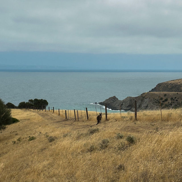 Why You Should Add Port Elliot to Your South Australia Road Trip