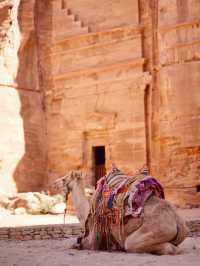 Petra: The Ancient Rose-Red City of Jordan