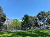 Flagstaff Gardens