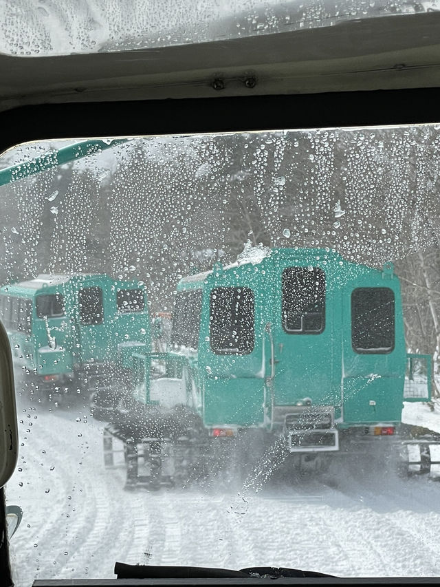 【宮城×冬の旅】冬の風物詩 樹氷を雪上車に乗って観光