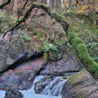 Pyrenees National Park