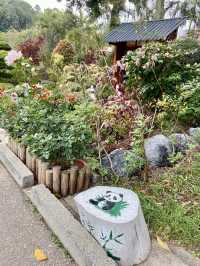 🏝️😎如熱帶雨林般的「城門谷公園」｜香港賞花拍照好地方🔥🏞️