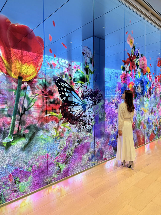 京都 ❤︎ 話題のここ行った⁉️まるで異世界の色彩美💐 