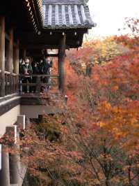 🍁 秋の東福寺で心癒されるひとときを ✨