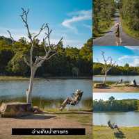 รวม 15 พิกัดเที่ยวเขาใหญ่ สวยยังกับเมืองนอก🌳