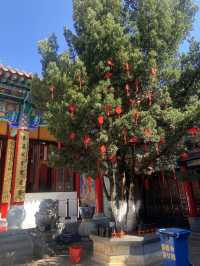 ❤️🌳綠樹紅牆琉璃瓦的雲南昆明「圓通寺」😀🪷