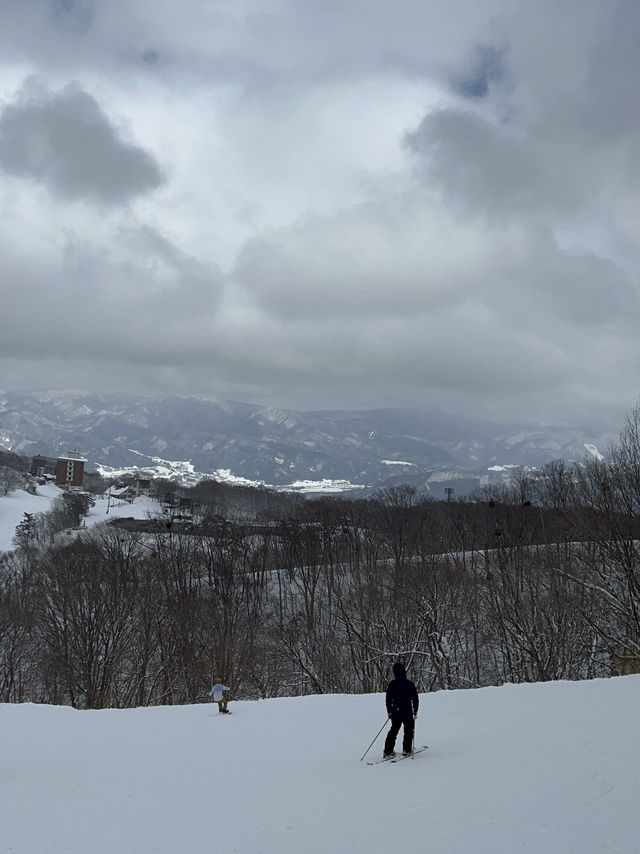 【斑尾高原🇯🇵】パウダースノーを楽しめる大型スキー場⛷