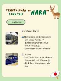 แพลนเที่ยว “นารา” (Nara) 1 Day Trip from Osaka 🦌✨