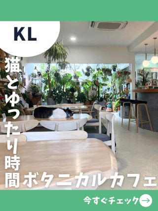 【馬來西亞女生一人旅】和貓咪店員悠閒度過療癒時光！充滿綠意的咖啡廳！