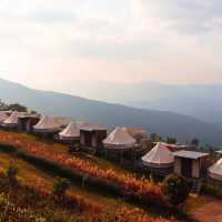 ภูทองแคมป์ ภูชี้ฟ้า