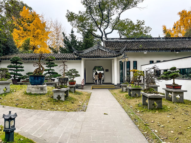百花潭公園...청두