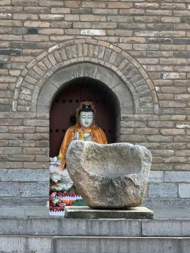 📍Discover luoyang 