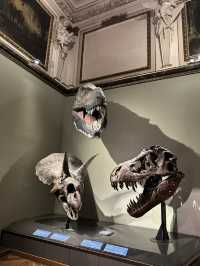 Step Back in Time: Explore the Dinosaurs of Vienna’s Natural History Museum