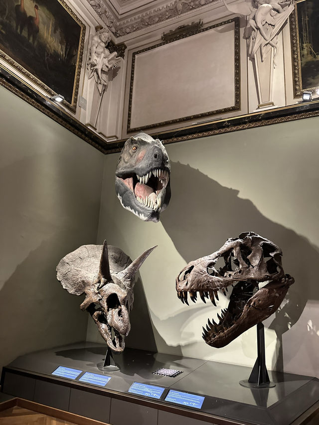 Step Back in Time: Explore the Dinosaurs of Vienna’s Natural History Museum