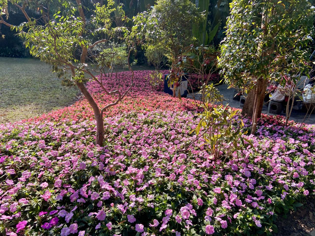 情人節好去處💕廈門園林植物園🌹🌵