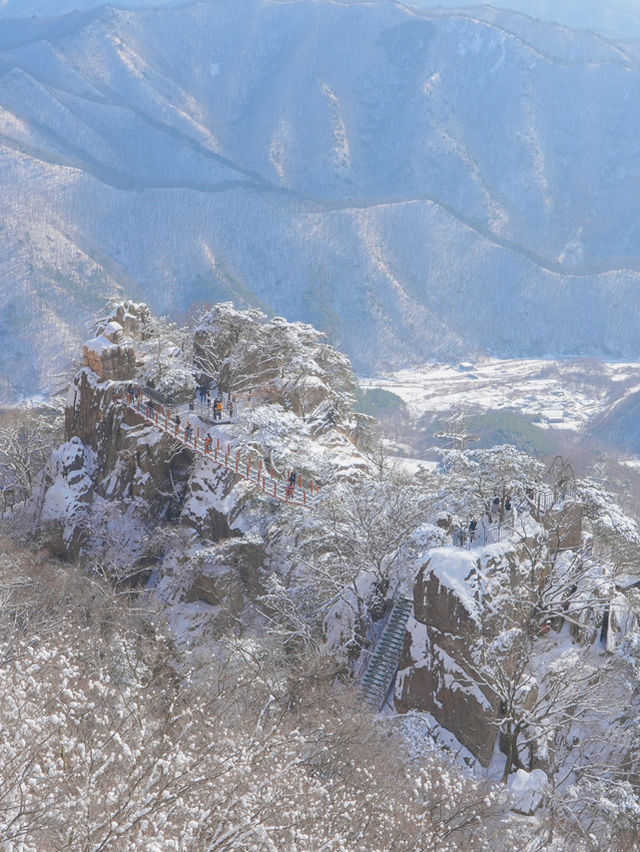 (실시간) 정말 눈물 날 만큼 아름다웠던 올 겨울 꼭 다녀와야 할 설산❄️🩵