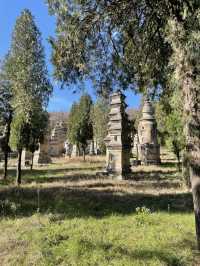 🇨🇳 Day Trip to Shaolin Temple: Where Kung Fu Legends Are Born