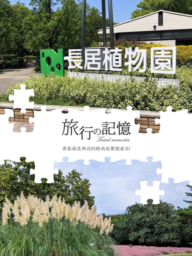 自由散漫，享受春天氣息🎋🌹