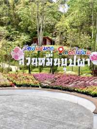 The Climate and Design @Betong Garden