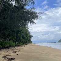【オーストラリア】静かな楽園！癒しのビーチリゾート・パームコーブ 🏝️🌿