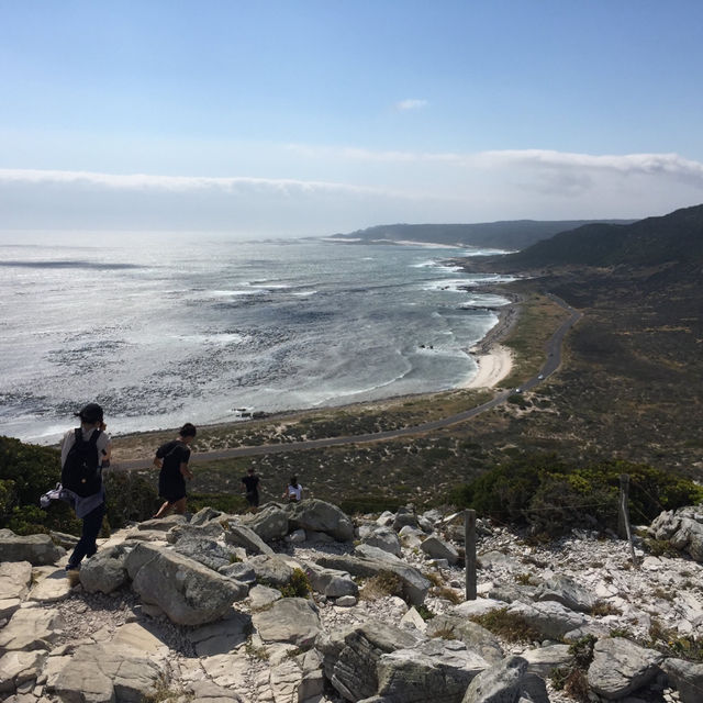 開普角之旅X壯麗美景與歷史探索