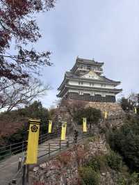 名古屋近郊-岐阜城
