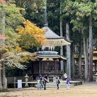 🇯🇵【和歌山】高野山真言宗 壇上伽藍✨