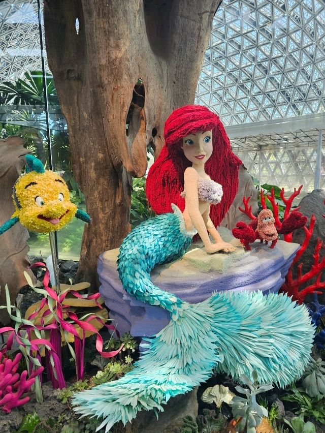 ชมดอกไม้สุดอลังการที่ The Floral Fantasy 🌸