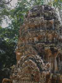 เที่ยวปราสาทตาพรหม เสียมราฐ กัมพูชา