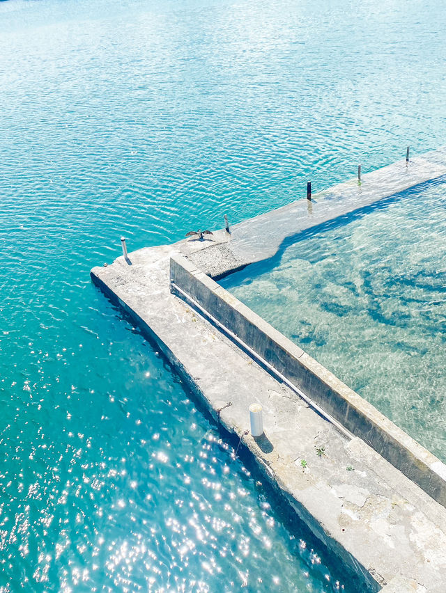 天然記念物！鯛の浦で夏の千葉を楽しもう！