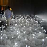  BKK Design Week 2025 @ Srinakarin 