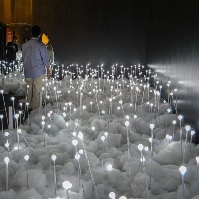  BKK Design Week 2025 @ Srinakarin 
