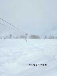 【新潟／南魚沼】雪質極上！パウダーが楽しい「かぐらスキー場」⁡