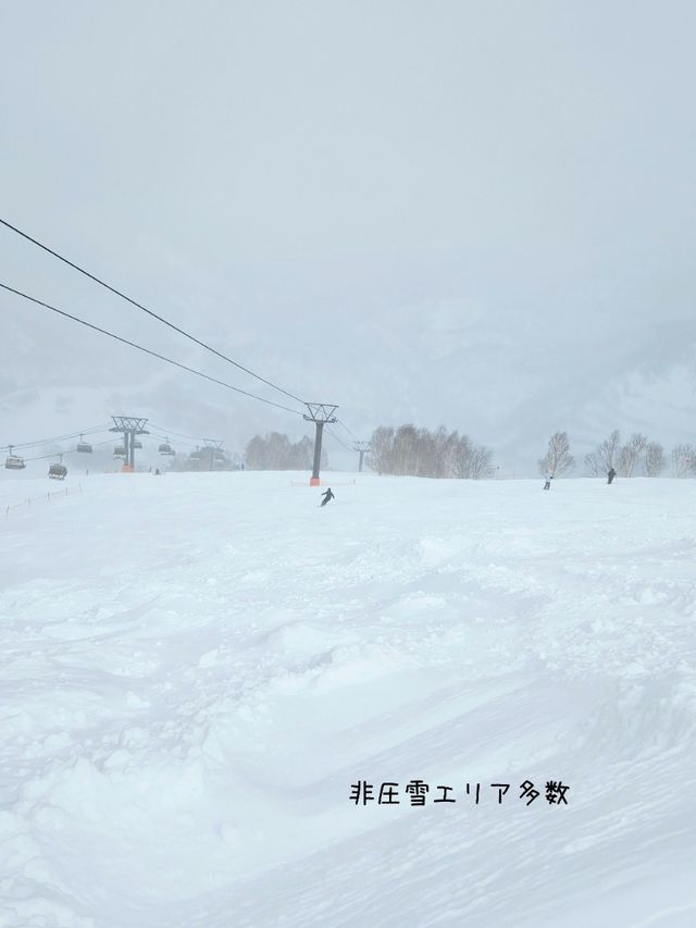 【新潟／南魚沼】雪質極上！パウダーが楽しい「かぐらスキー場」⁡
